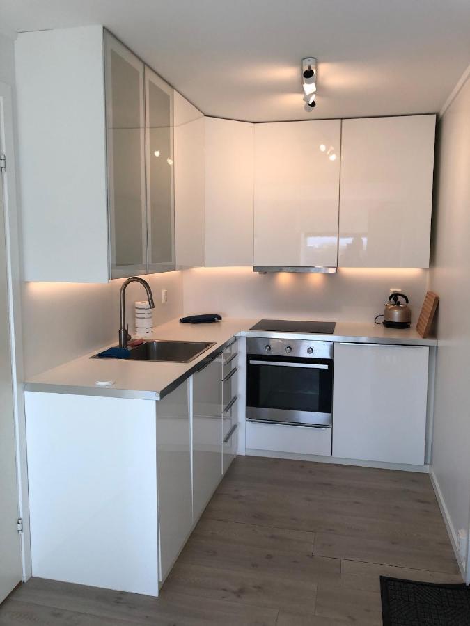 Cozy Apartment In The Middle Of Lofoten レクネス エクステリア 写真